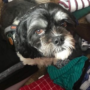 Meet your Posher, Danielle